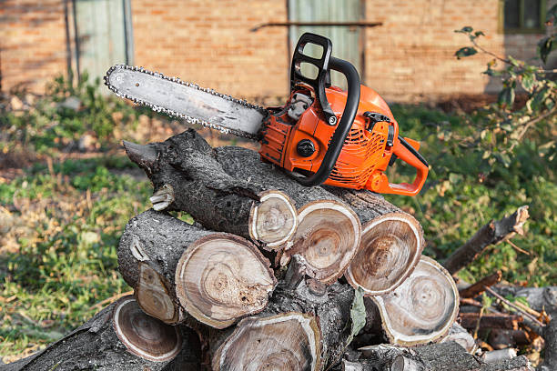 Best Tree Cutting Near Me  in Shenandoah, LA